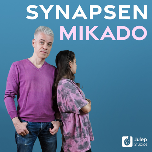 Cover Synapsen Mikado